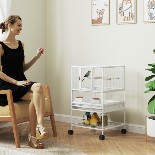 Bird cage parrot - bird,