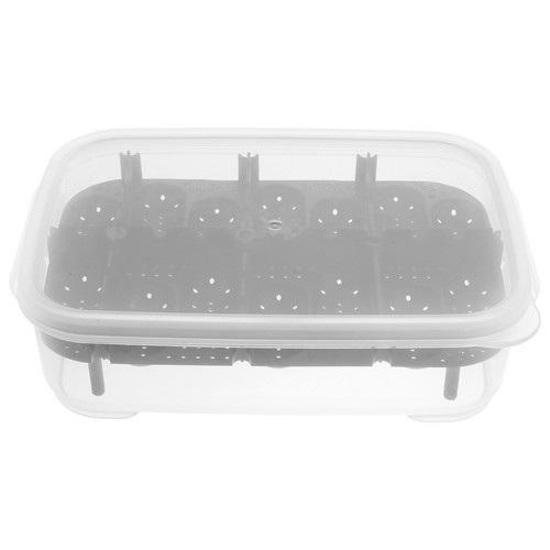 Reptile egg incubator - incubator, for