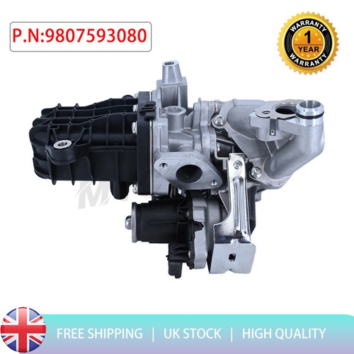 Egr valve module cooler for - egr,