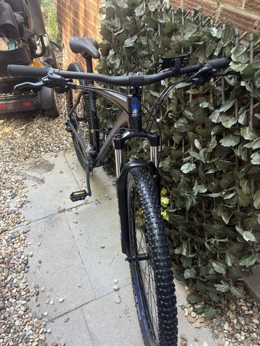 Carrera hellcat 29in mountain - hellcat,