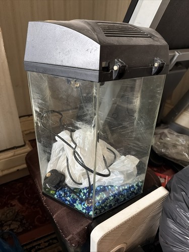 Hexagon fish tank and - fish,