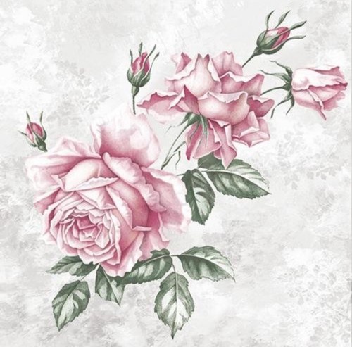 Vintage roses flowers - x,