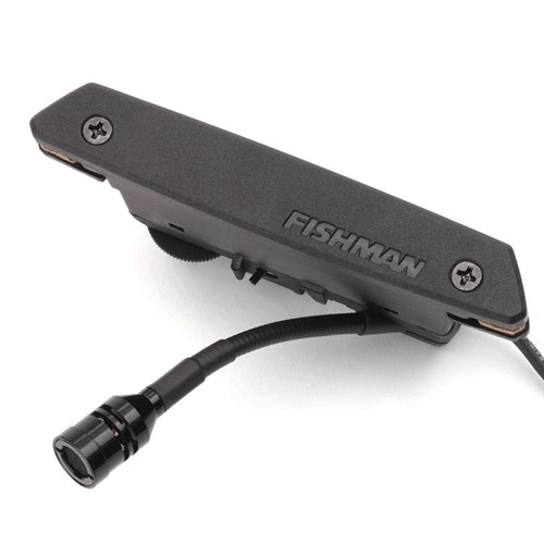 Fishman pro rep - rare, earth