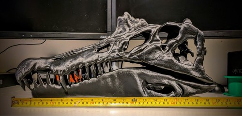 Spinosaurus skull - (3d, printed)