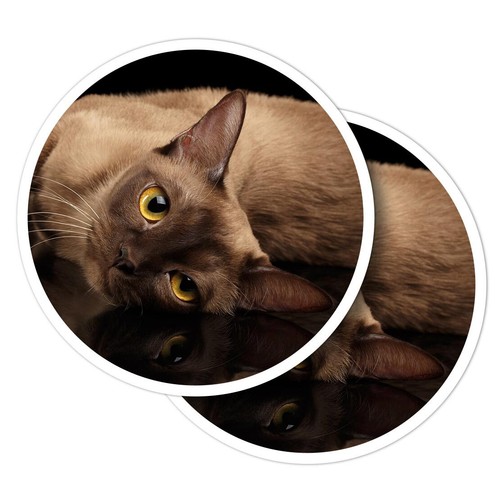 Vinyl stickers burmese - stickers,