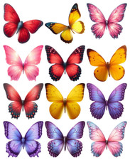 Butterflies, 12, 18 or 24 x