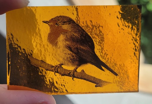 Stained glass robin amber - stained,