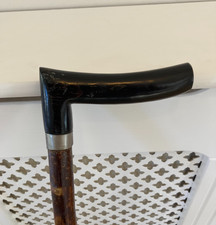 Lovely Black Buffalo Horn