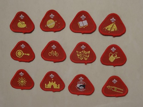 Cub scout proficiency activity - cub,