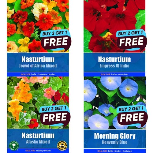 Flower seeds grow your own - grow,