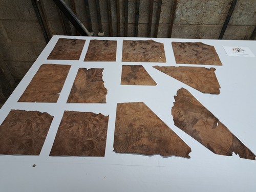 Burr walnut veneer - veneer, –