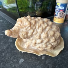 Clearance Hedgehog Rubber