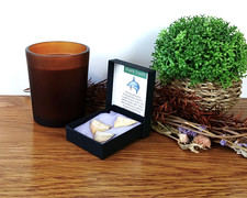 3 x 100% Genuine Shark Teeth