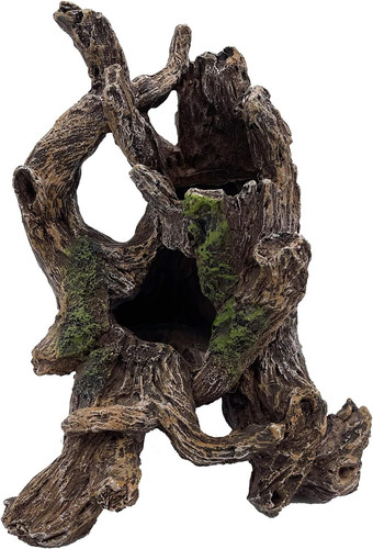 Large 20cm tree root - tree, drift