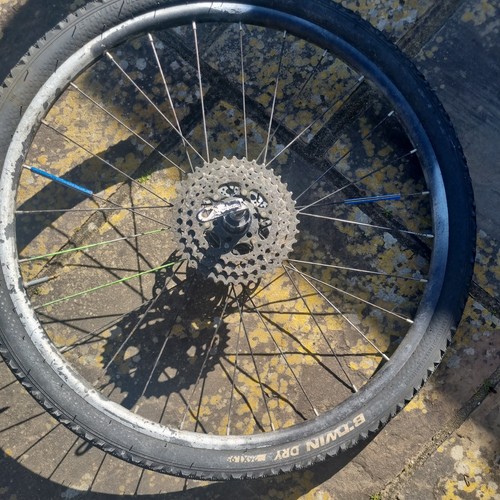 Belt drive bike - belt, wheel