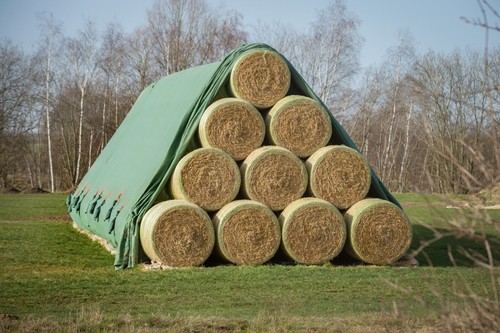 Toptex crop and - toptex,