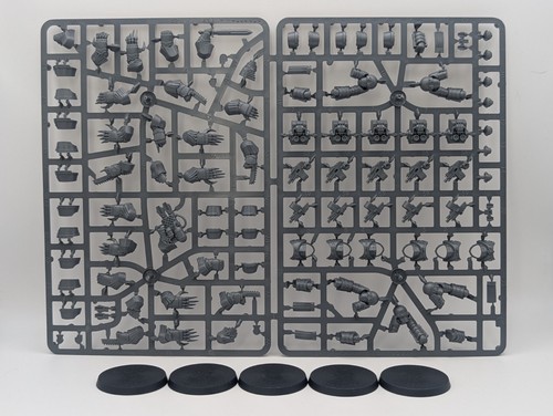 Cataphractii - 2),