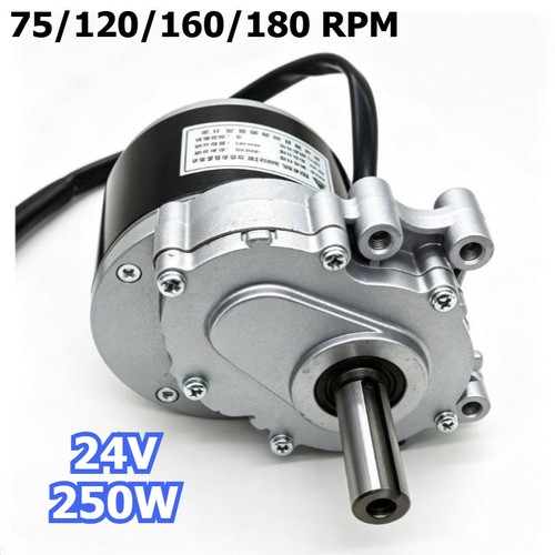 24v 250w brushed - brushed, low-speed