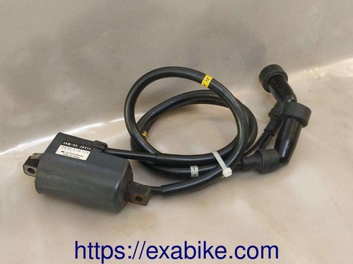 Ignition coil for - ignition,