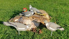 12 decoy pigeons Half Shell + sticks wind rocking 2 settings hunting shooting.