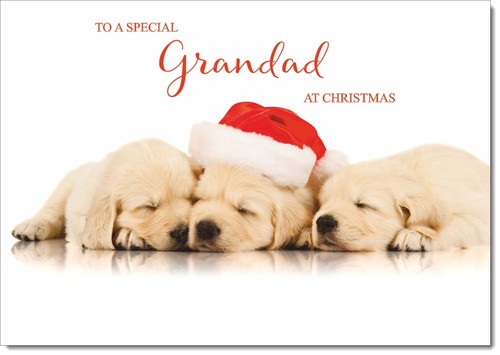 Doodlecards grandad christmas - doodlecards,