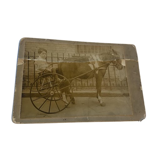 Vintage boy horse pony - vintage,