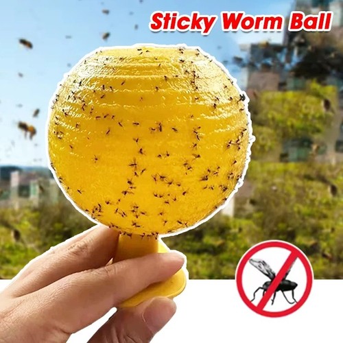 Fruit fly balls - balls, trap
