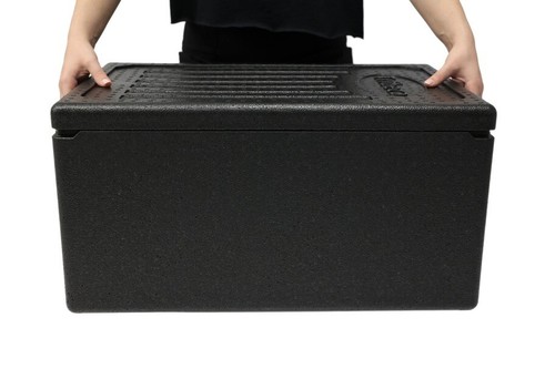 Professional food delivery - professional,