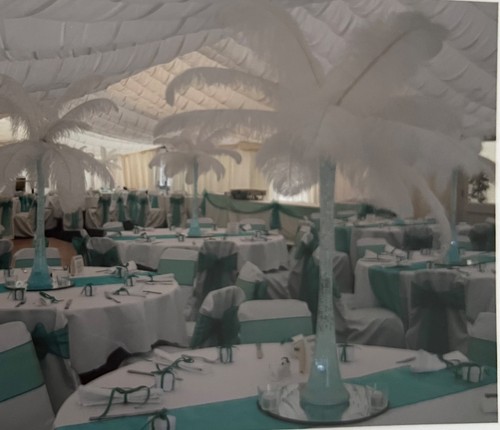 100s fluffy premina wing - 100s, of