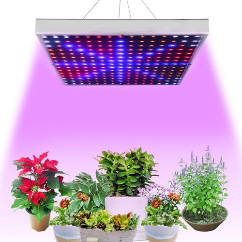 Led grow light - grow, seedling