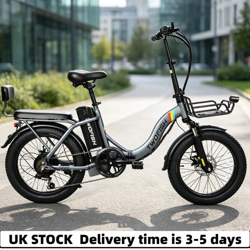 Twofish folding electric bike - folding,