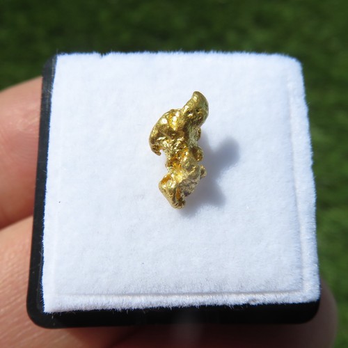 Rare natural crystallized gold - crystallized,