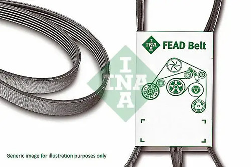 Multi ribbed belt - v-belt, fb