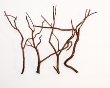 Manzanita Wood Thin Branches