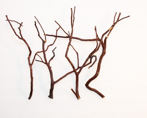 Manzanita wood thin branches - wood,