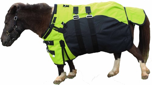 1000d miniature weanling - 1000d,