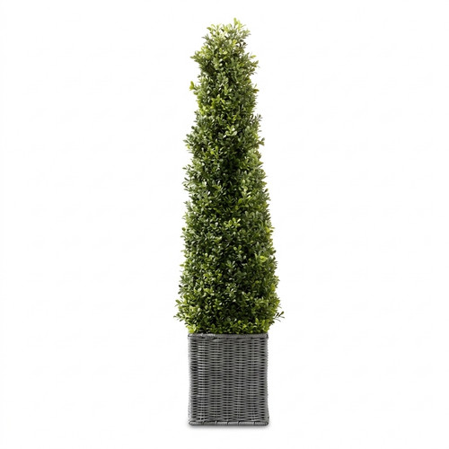 Artificial boxwood cone tree - artificial,