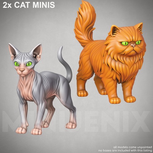 Sphynx persian cat set - persian,