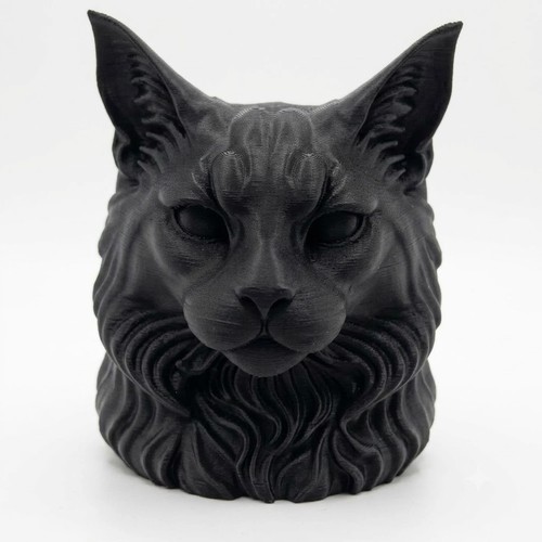Maine coon cat bust home - maine,