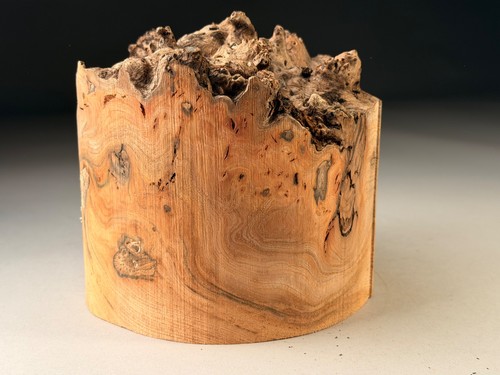 Amazing live edge burr elm - edge,