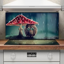 Kitchen Cooker Splashback