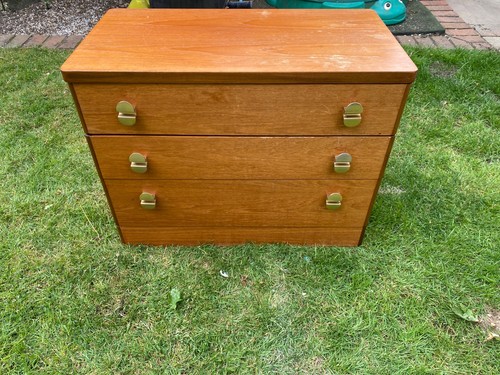 Vintage 1960s stag - vintage,