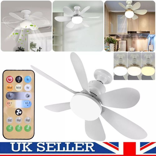 Modern led ceiling fan - ceiling,