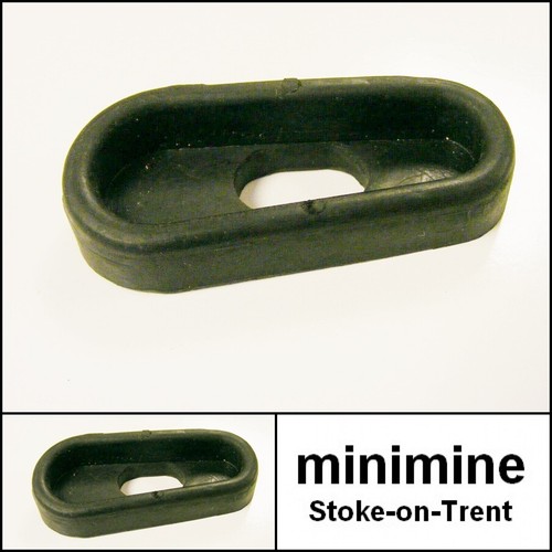 Classic mini door check - door, strap