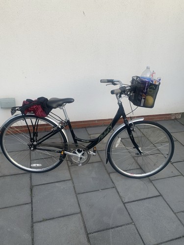 Vintage rraleigh shopping bike - vintage,