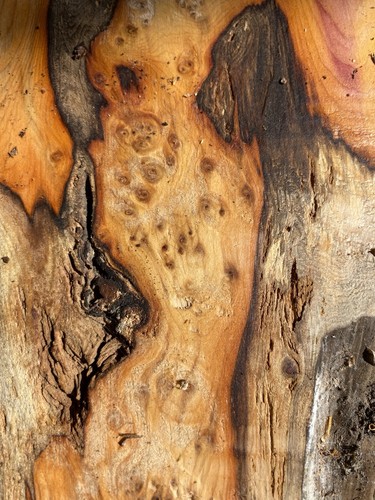 Yew wood pippy - wood,pippy, yew,yew
