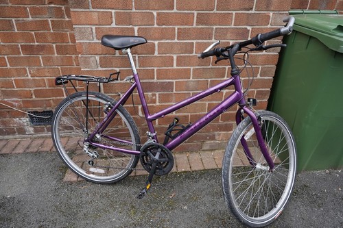 Raleigh max ladies mountain - max,