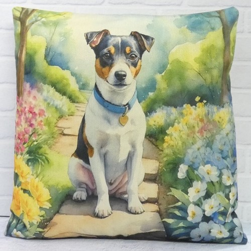 Jack russell terrier dog - russell,