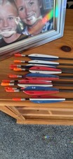 12 EASTON X10 PROTOUR ARROWS -
