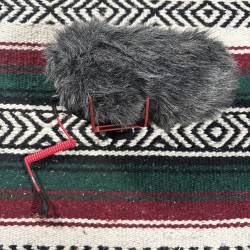 Rode videomic shotgun - go,